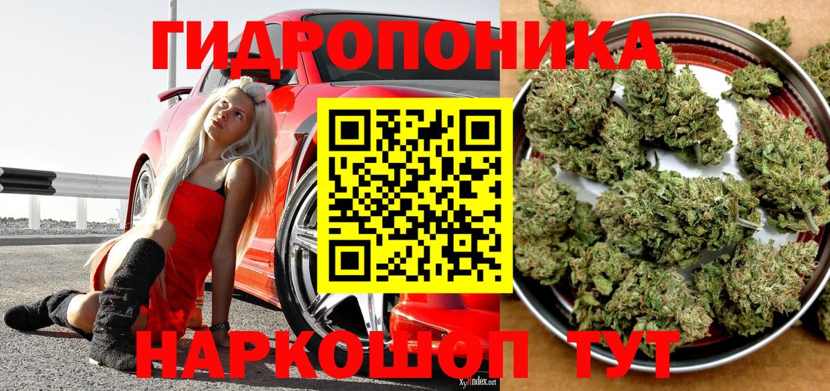 Конопля индика Сергиев Посад